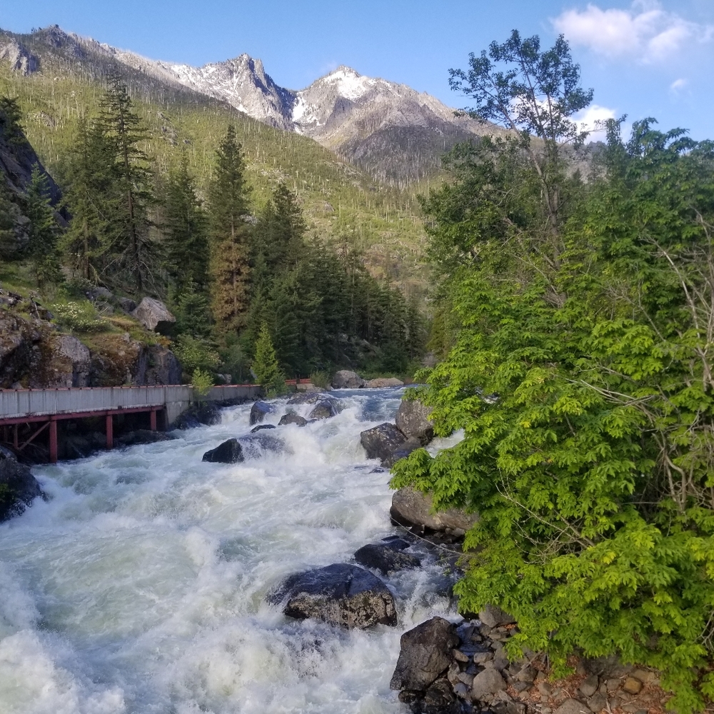 Bundle four jasmine updated